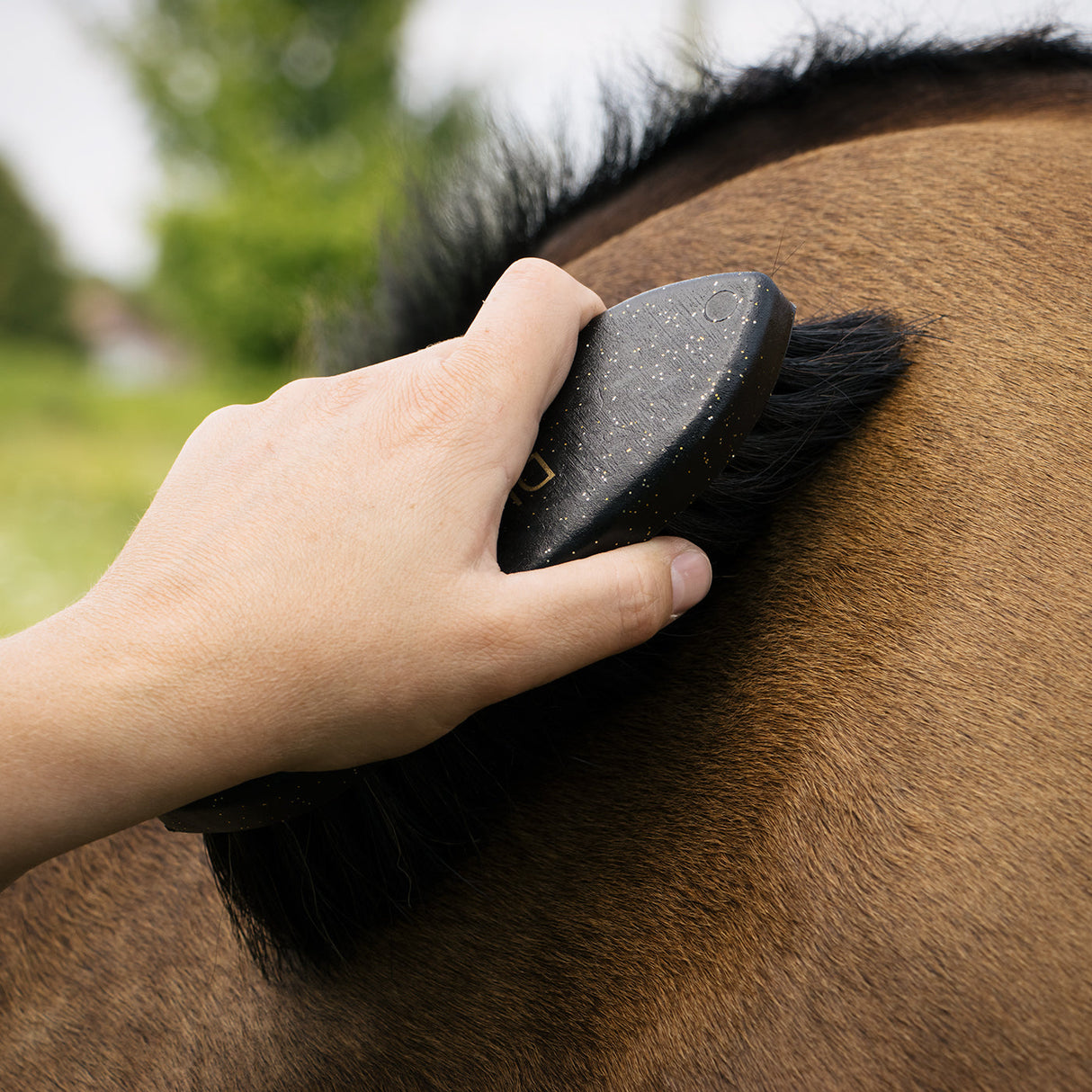 Haas Diamond Noir Brush