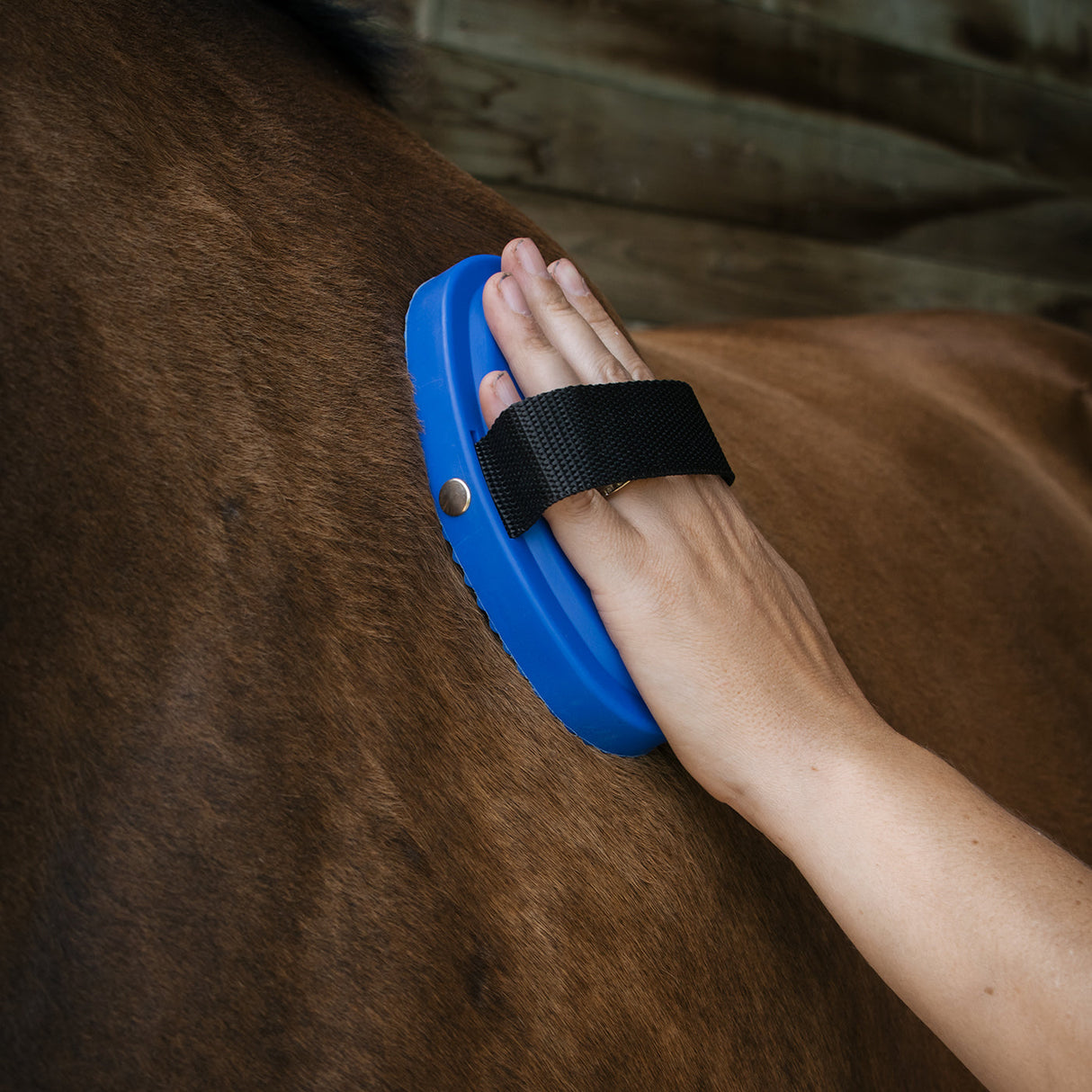 Haas Striegel New Generation Soft Curry