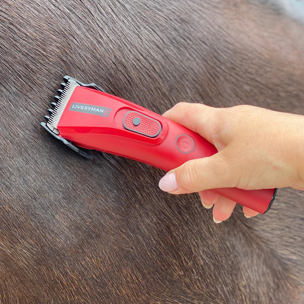 Liveryman Nova Cordless Trimmer
