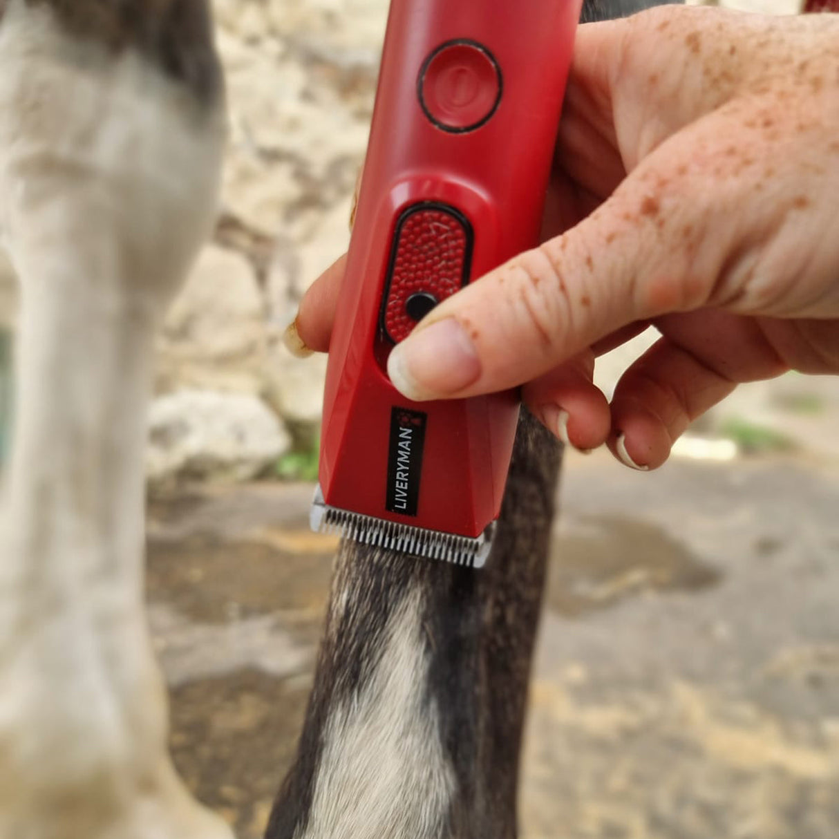 Liveryman Nova Cordless Trimmer