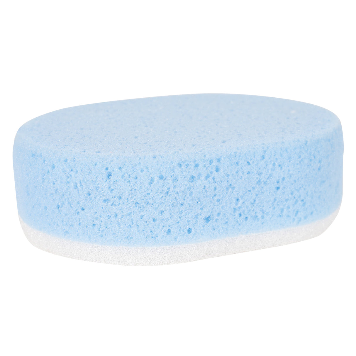 Large Scrub Sponge