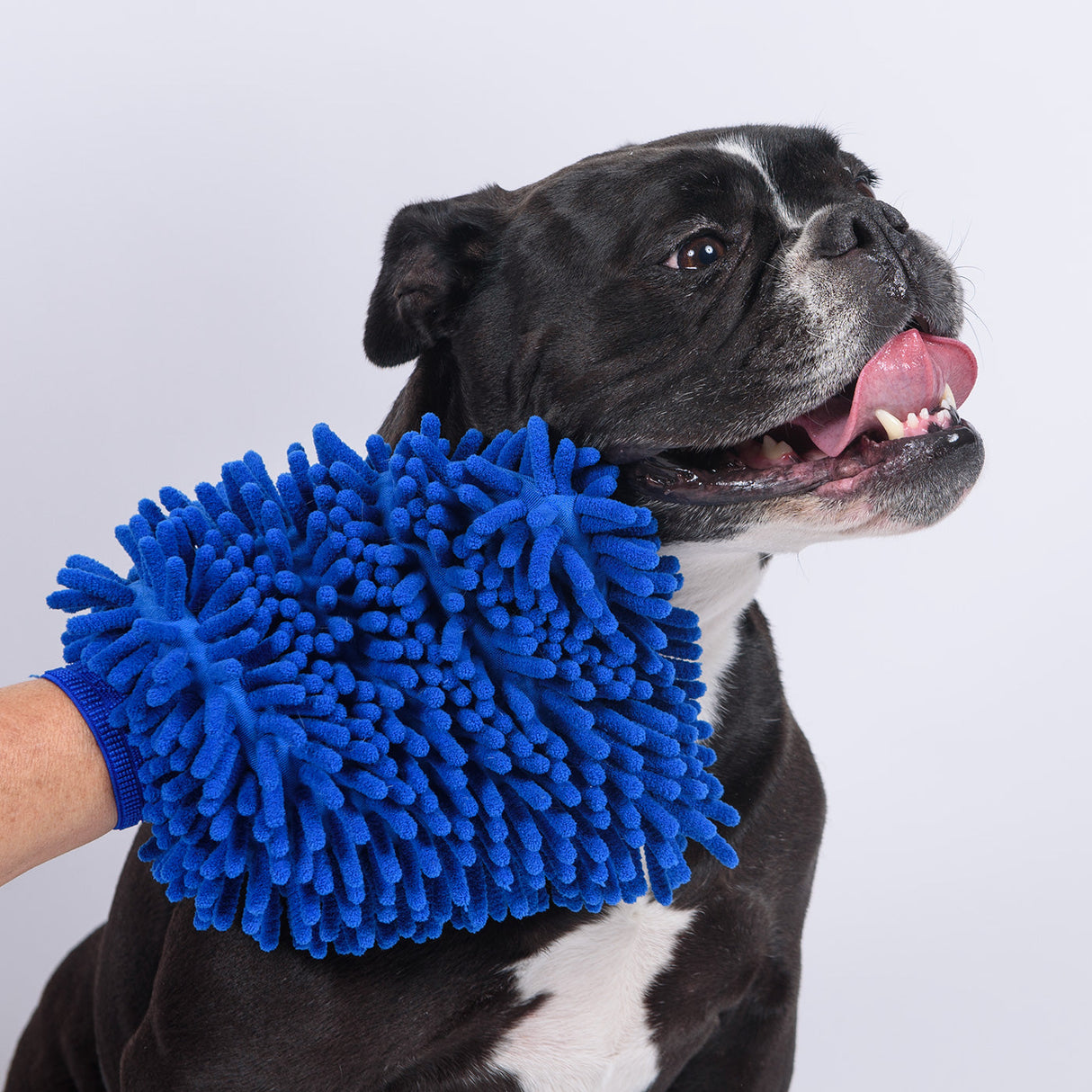 Supra Doodle Dandy Microfiber Mitt