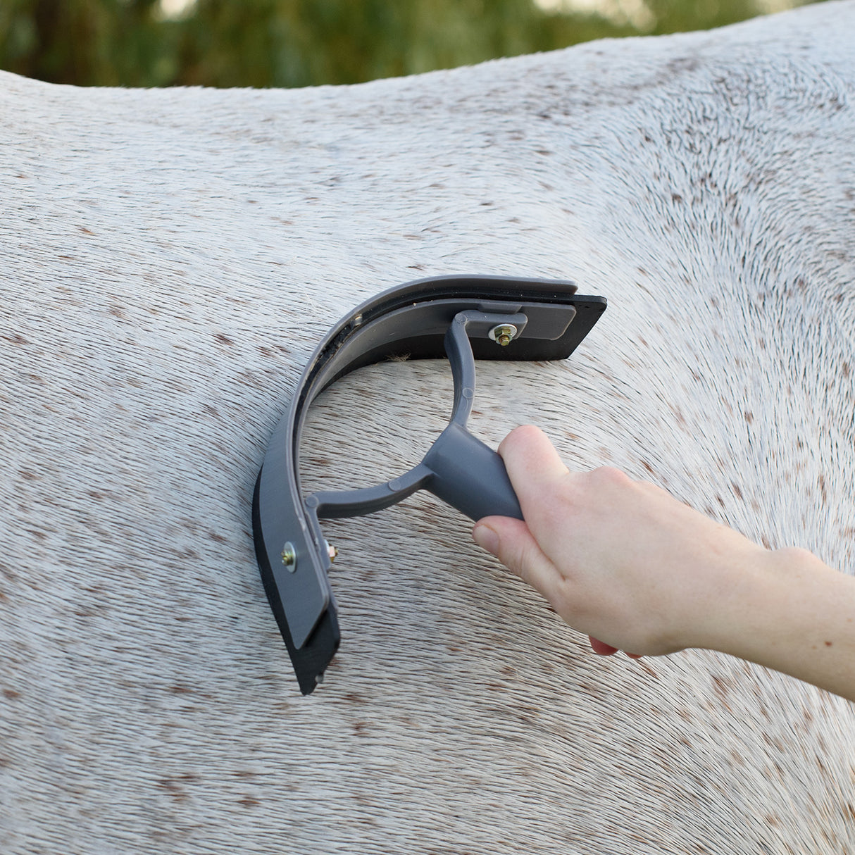 Supra Soft Touch Curved Sweat Scraper