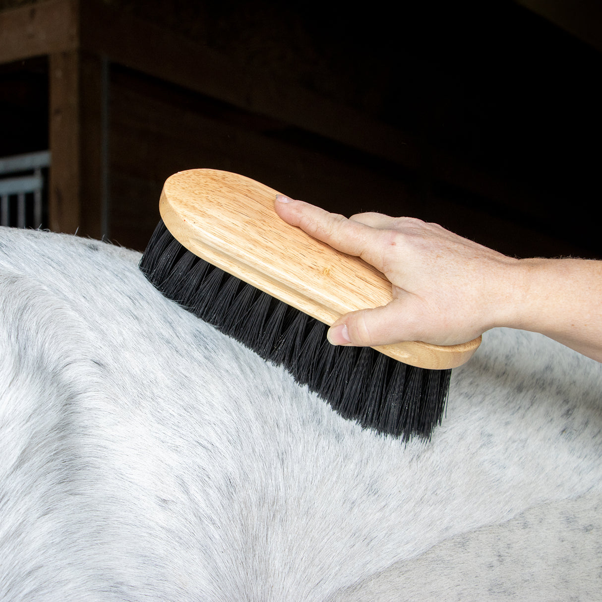Supra Long Bristle Stiff Dust Brush