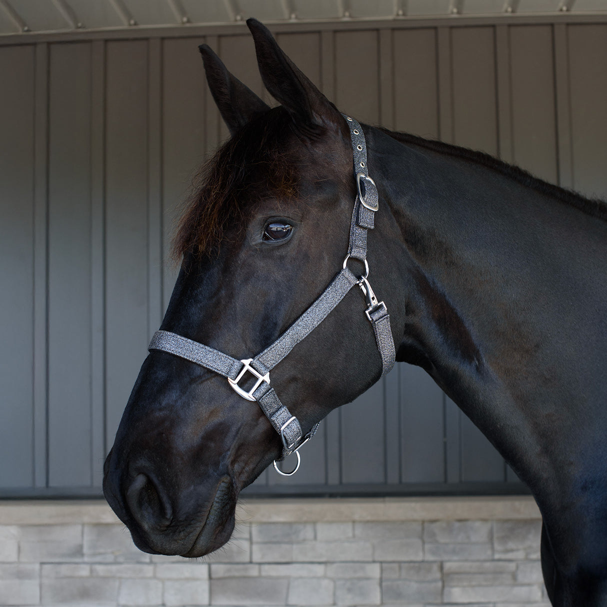 Shedrow Glitter Halter