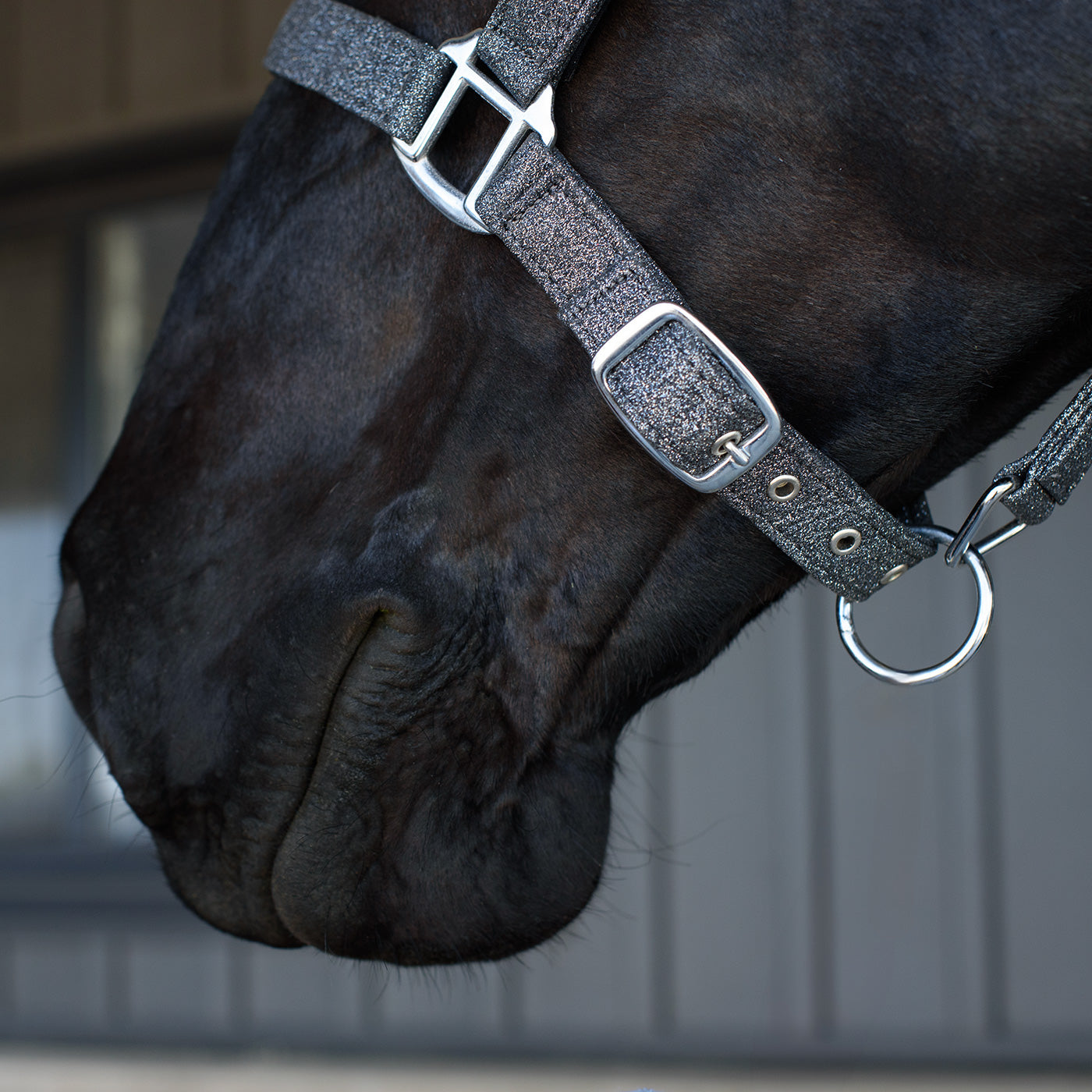 Shedrow Glitter Halter