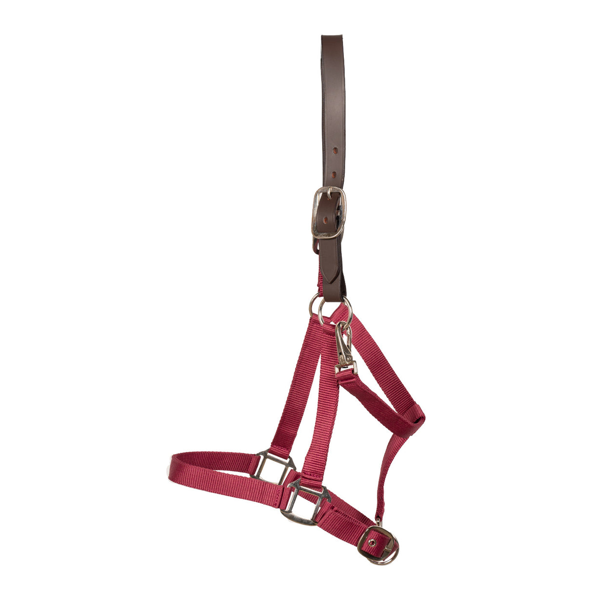 Supra Adjustable Breakaway Halter W/ Leather Crown