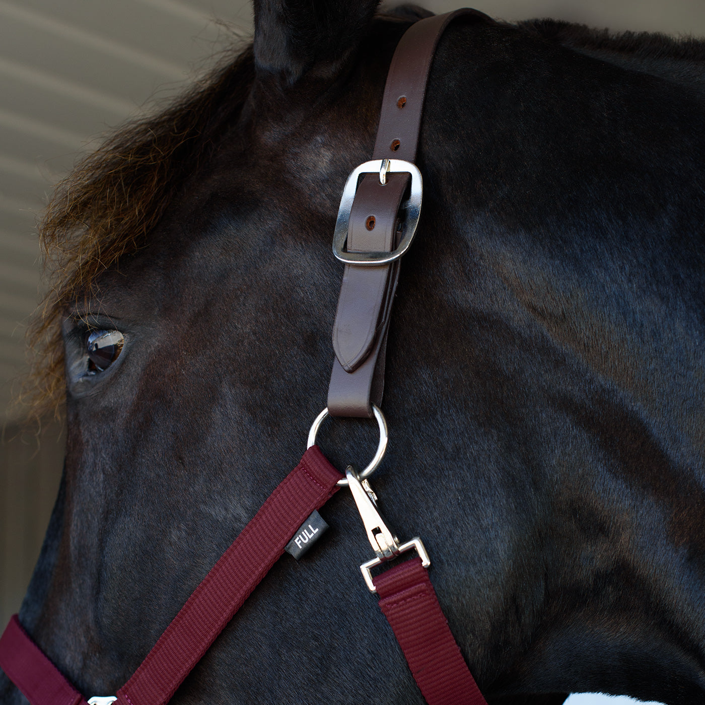 Supra Adjustable Breakaway Halter W/ Leather Crown