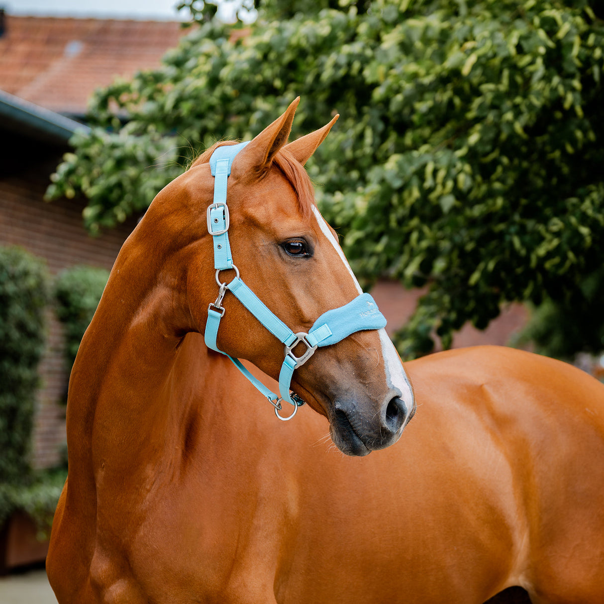 Horseware Signature Grooming Halter