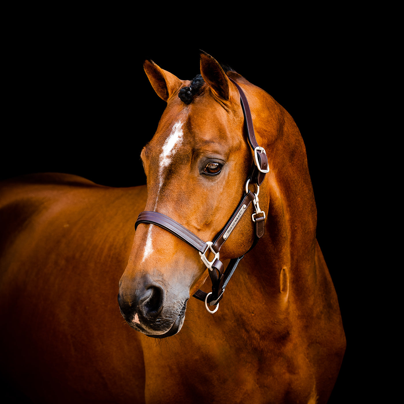 Horseware Signature Leather Halter