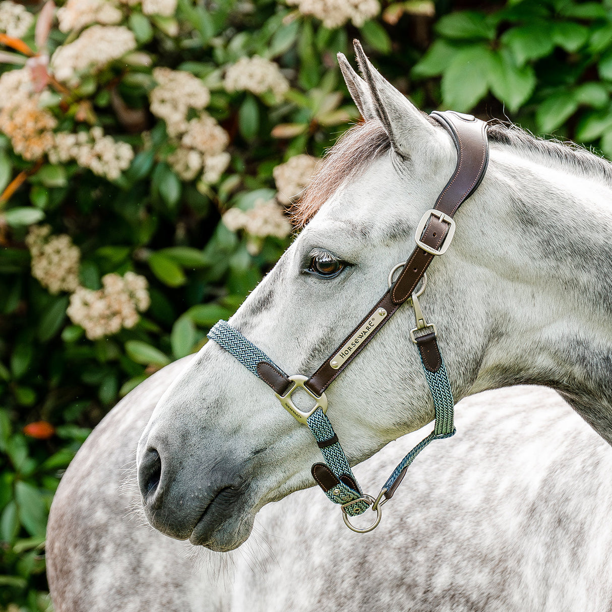 Horseware Signature Braided Halter