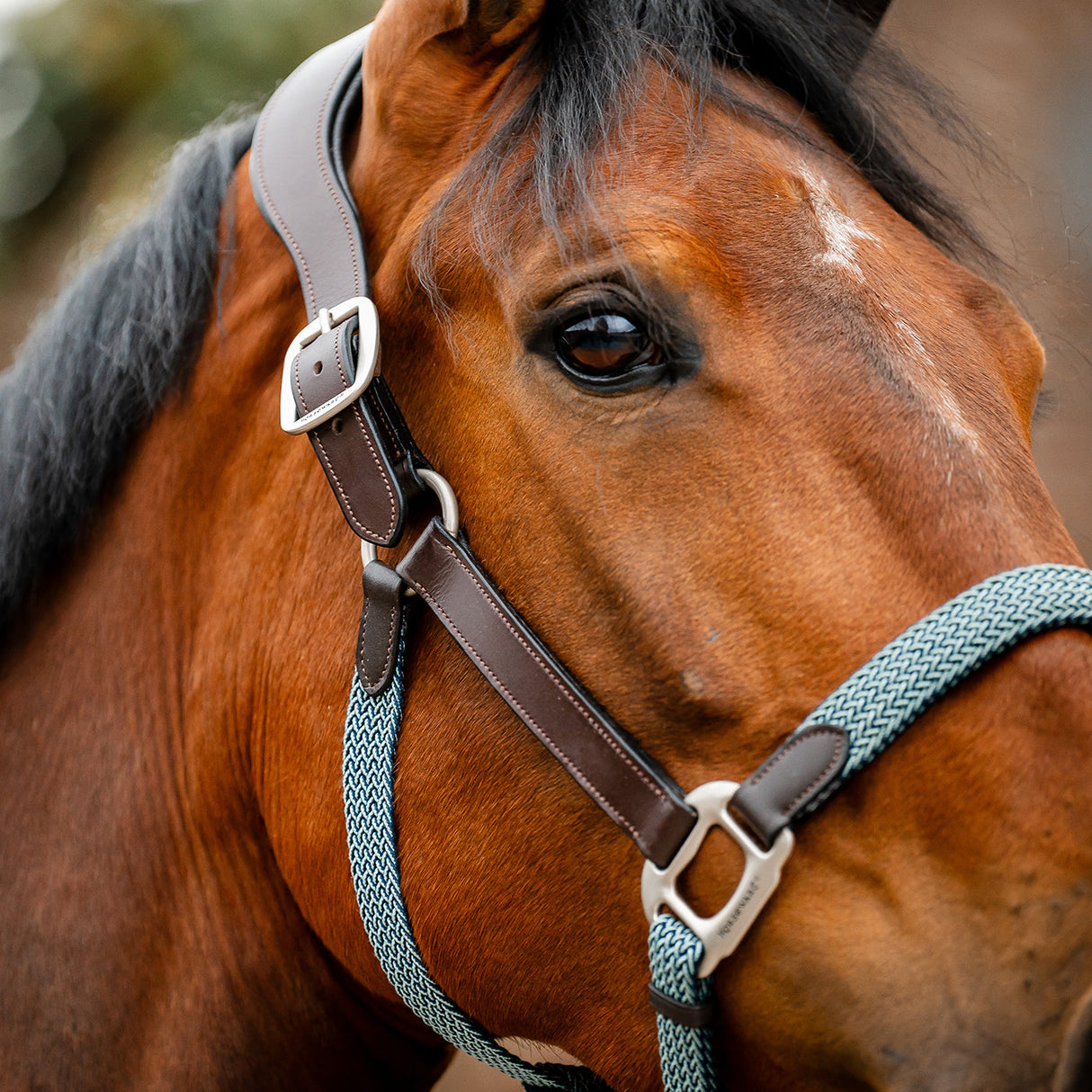Horseware Signature Braided Halter