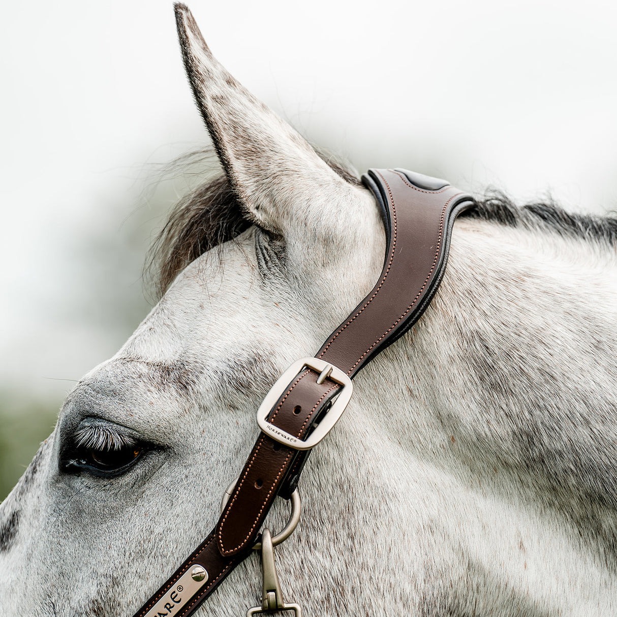 Horseware Signature Braided Halter