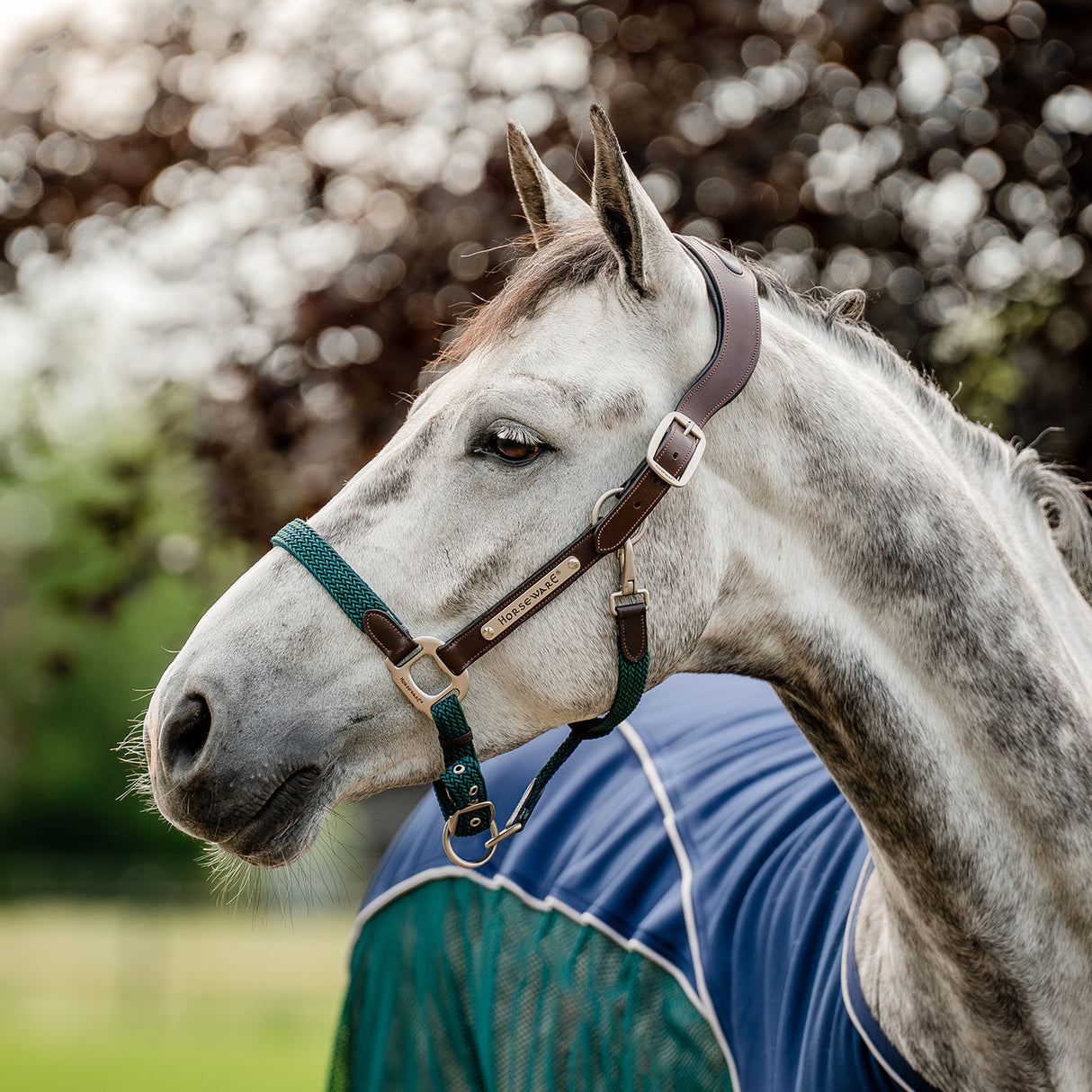 Horseware Signature Braided Halter