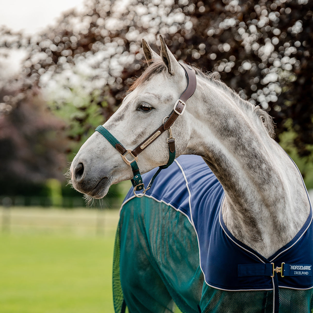 Horseware Signature Braided Halter