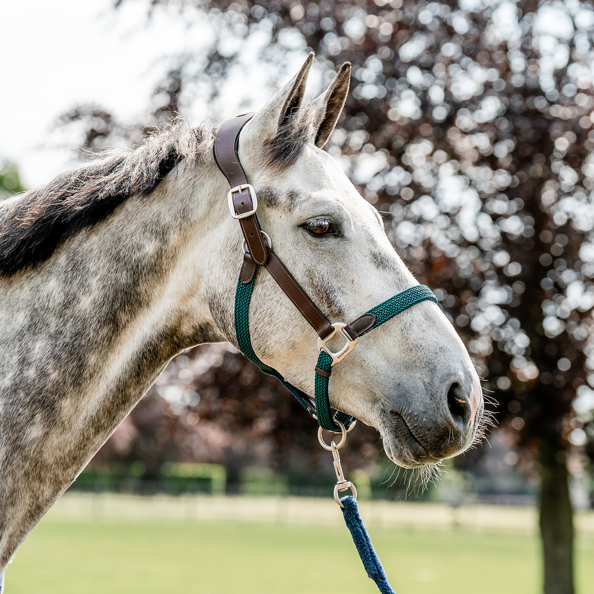 Horseware Signature Braided Halter