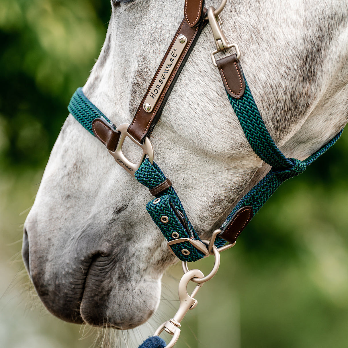 Horseware Signature Braided Halter