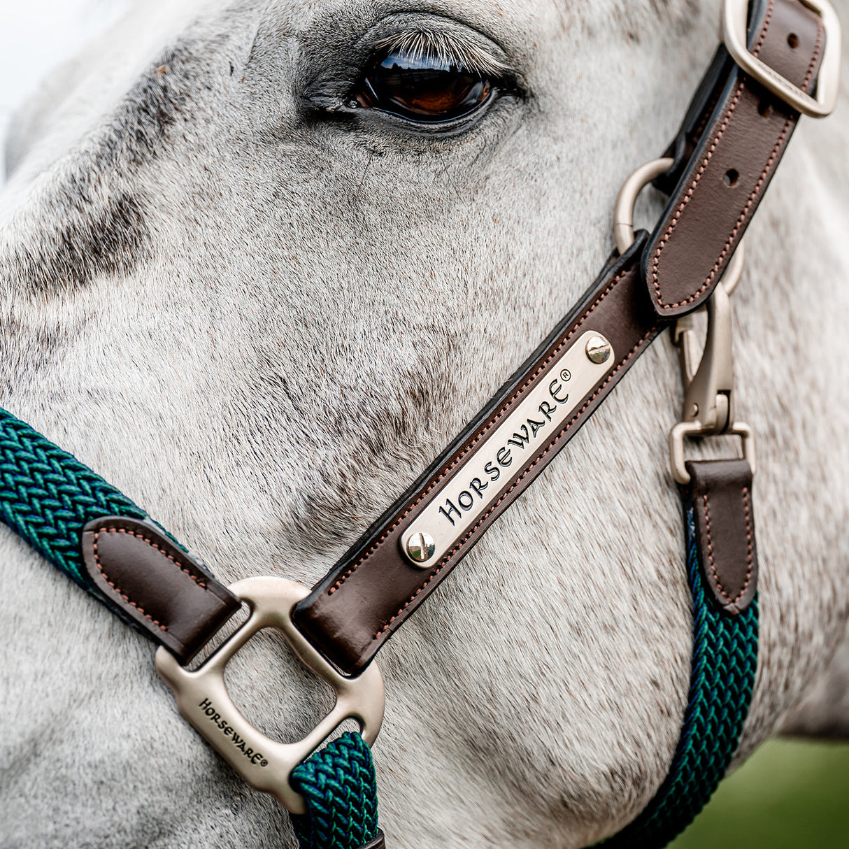 Horseware Signature Braided Halter