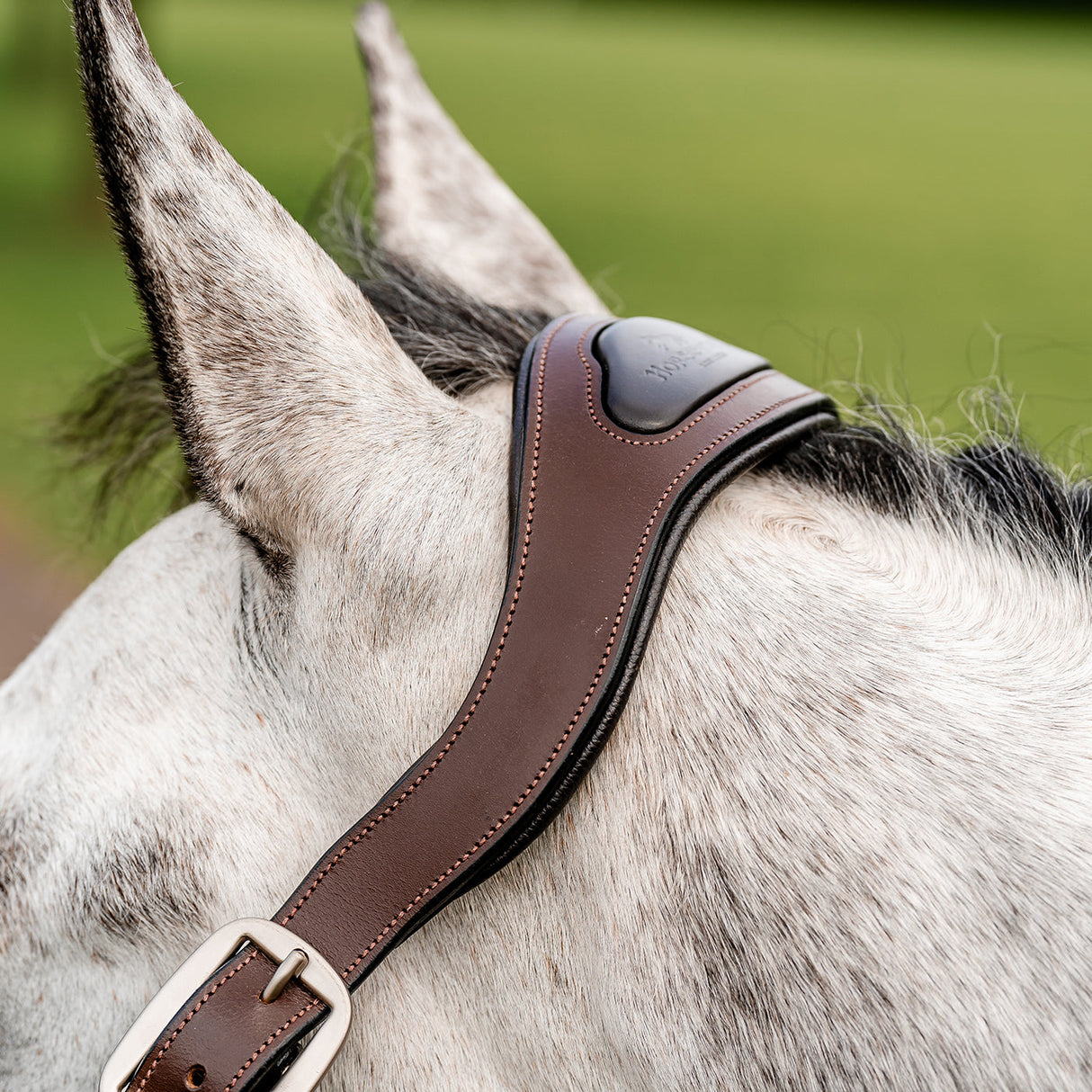 Horseware Signature Braided Halter