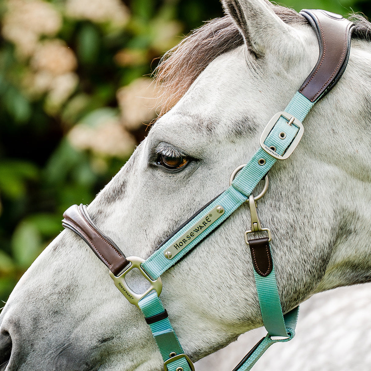 Horseware Signature Competition Halter