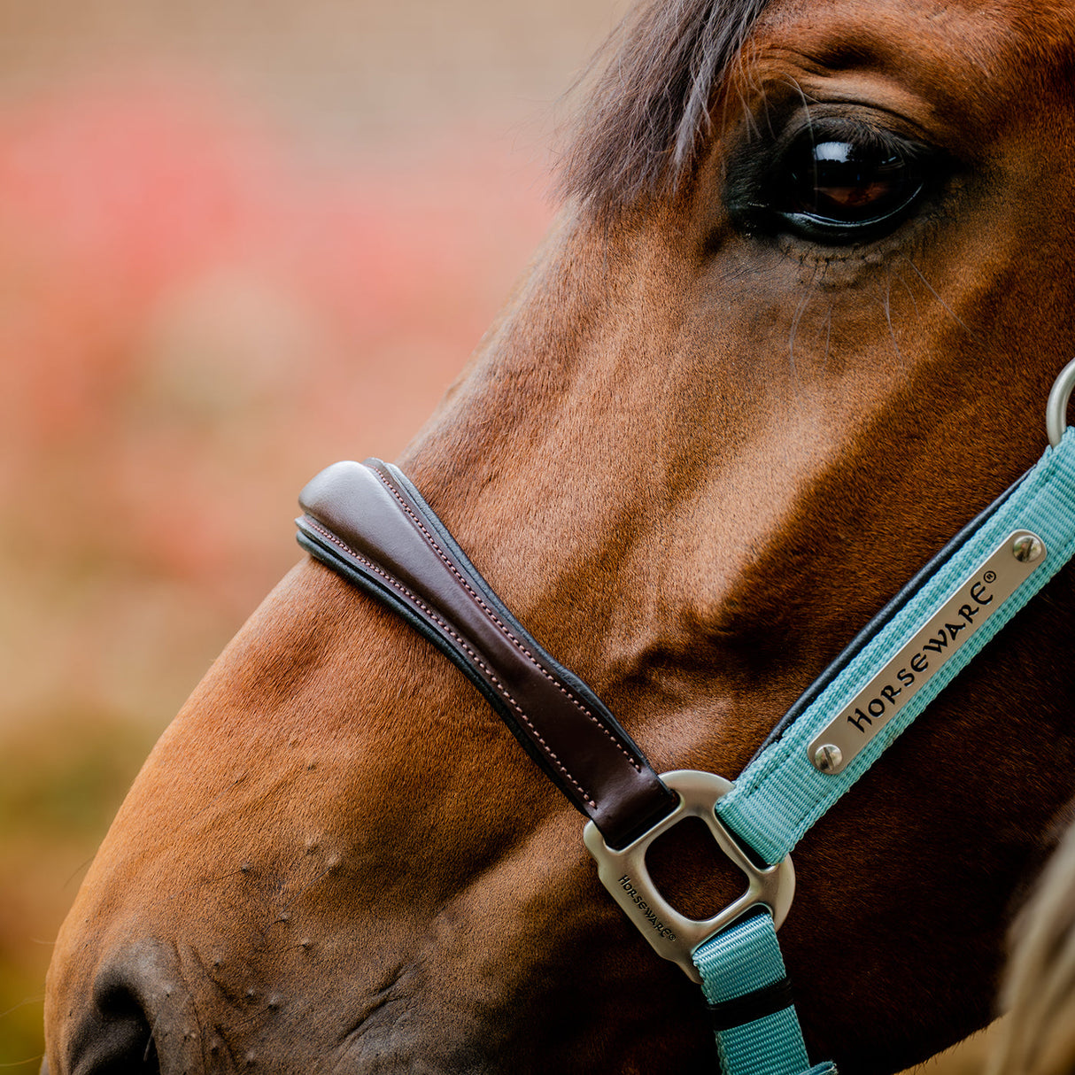 Horseware Signature Competition Halter