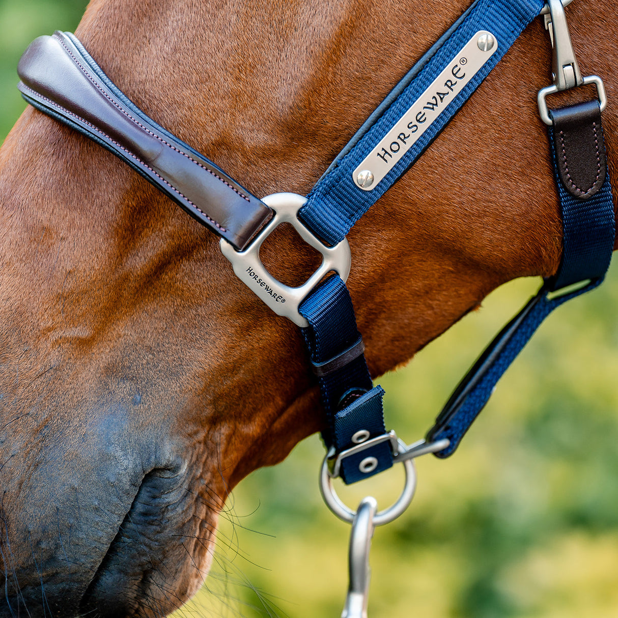 Horseware Signature Competition Halter