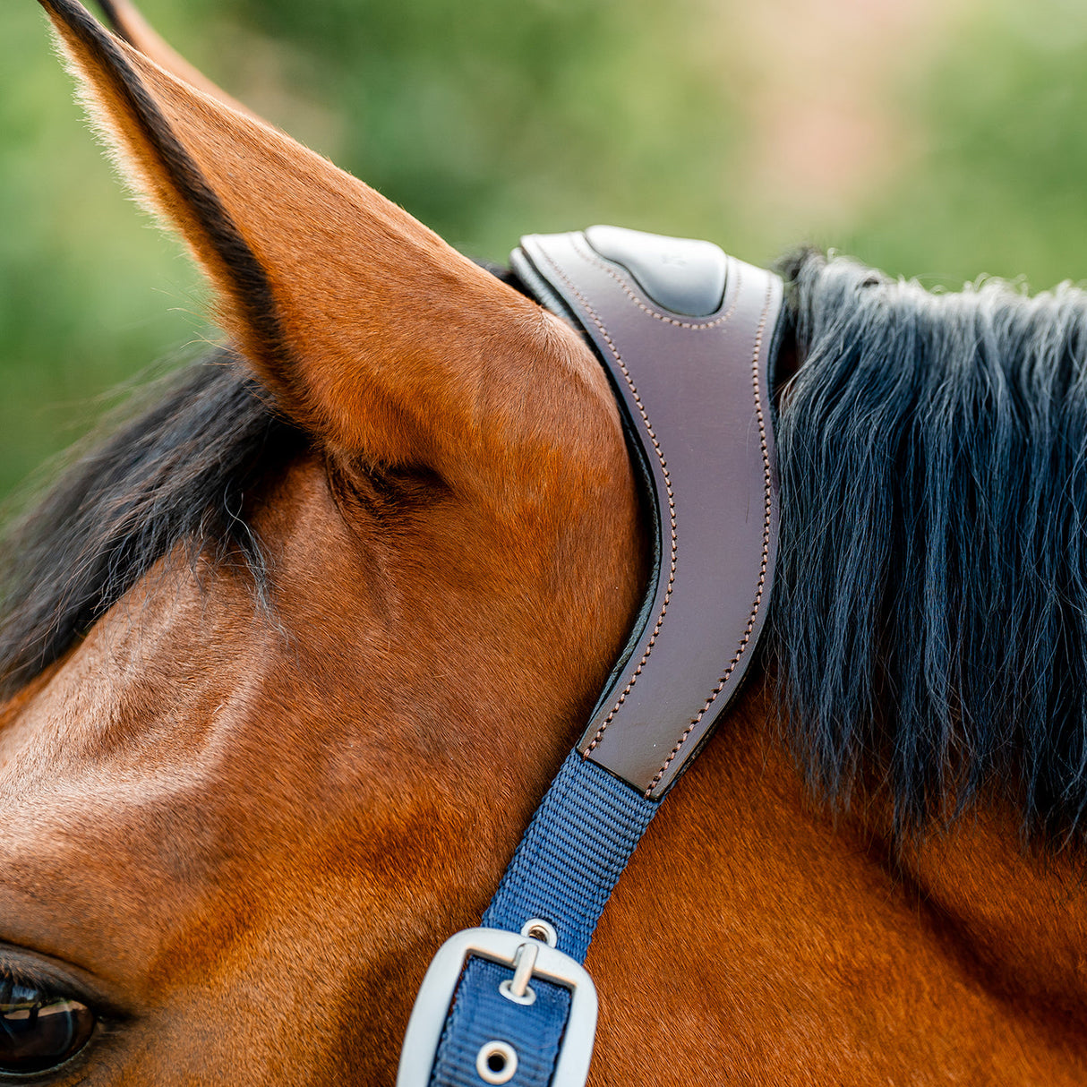 Horseware Signature Competition Halter