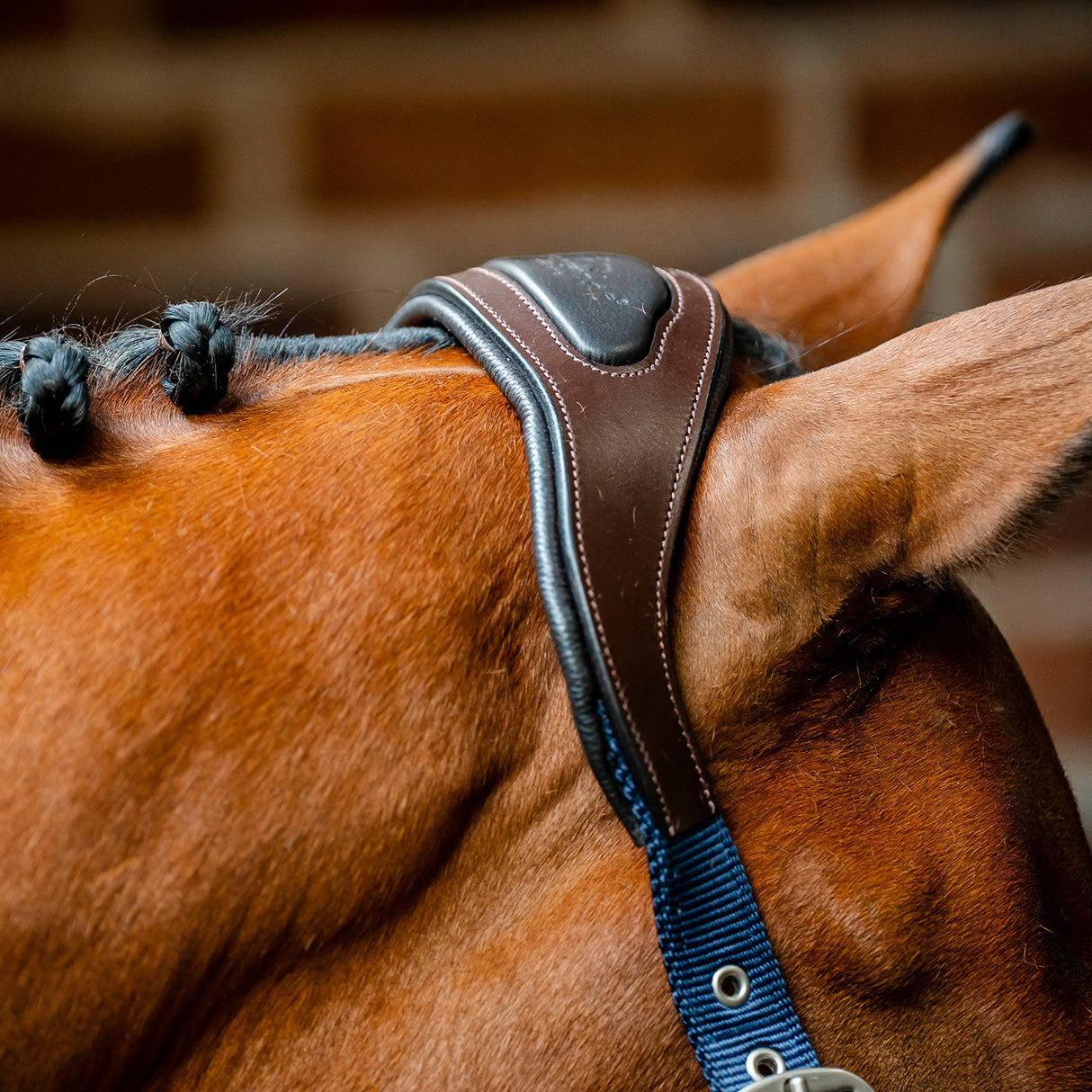 Horseware Signature Competition Halter
