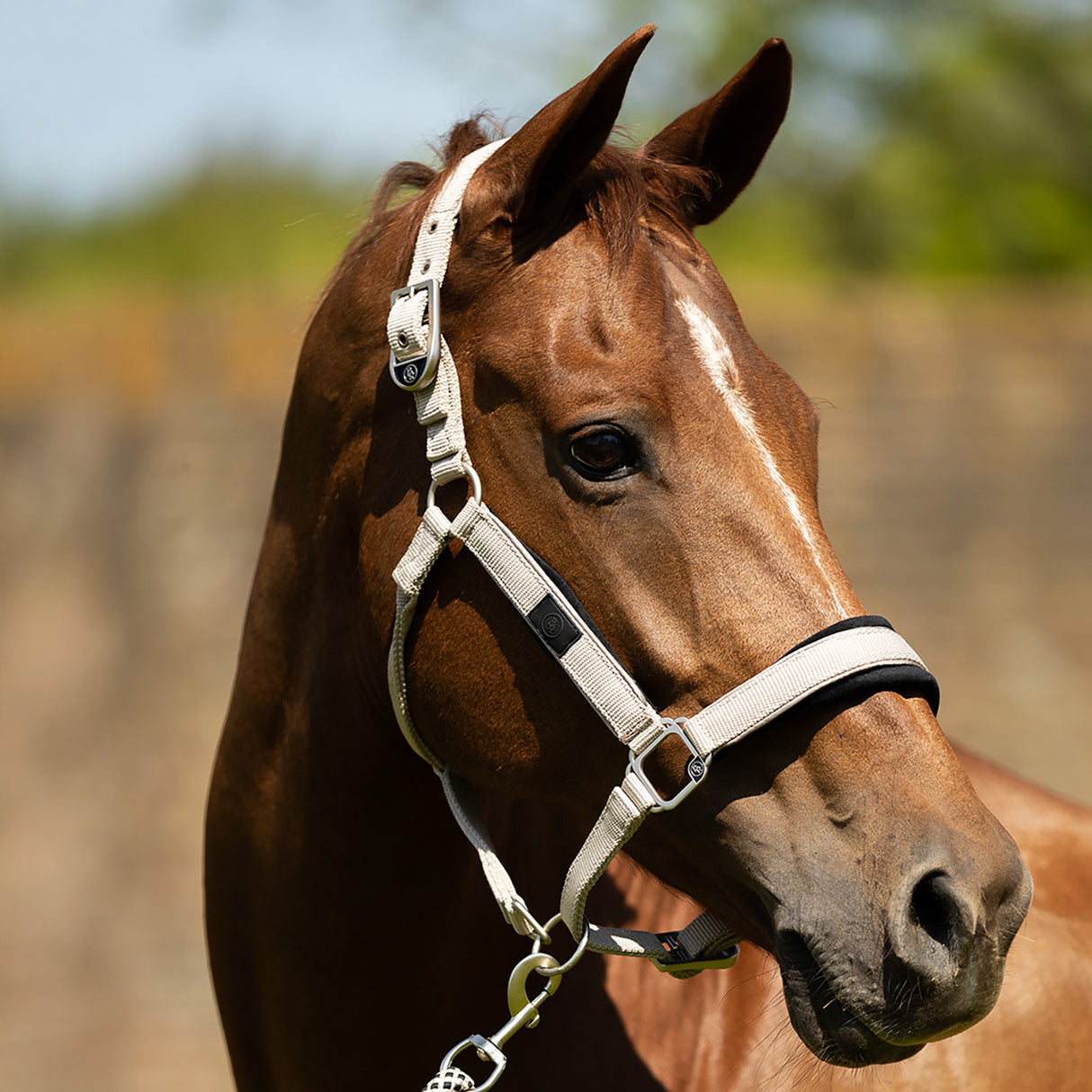 BR Halter Eline Mesh