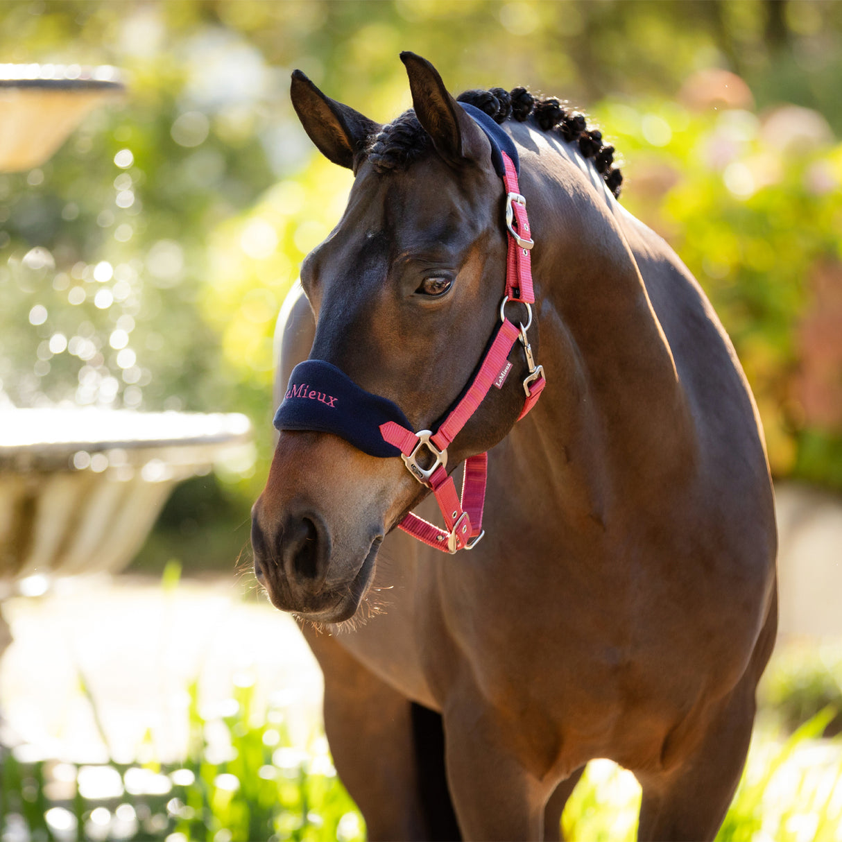 LeMieux Vogue Halter & Lead Rope