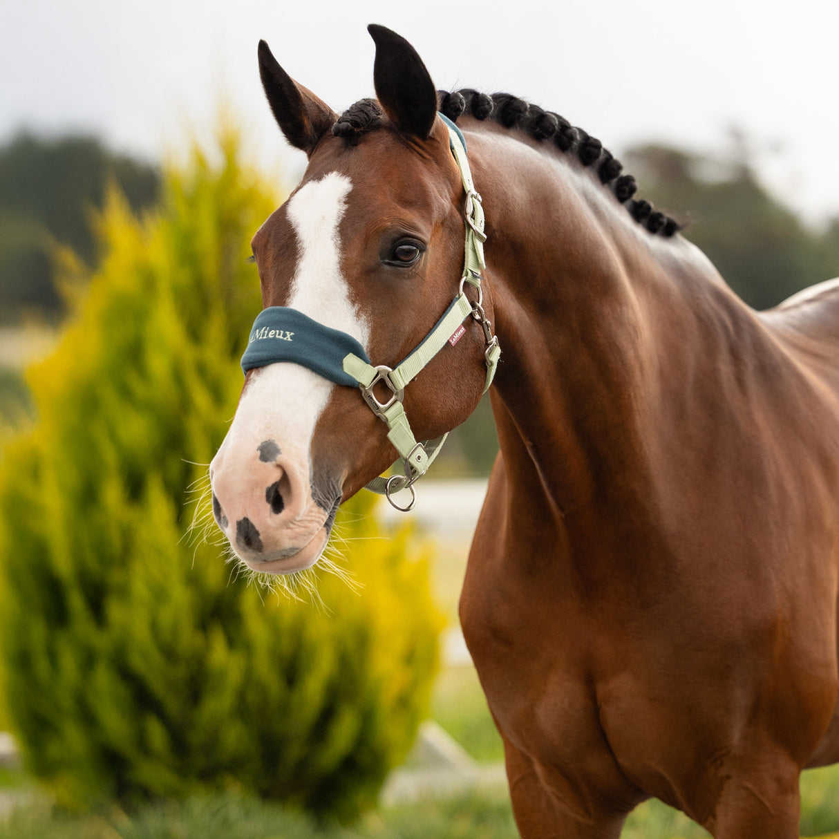 LeMieux Vogue Halter & Lead Rope