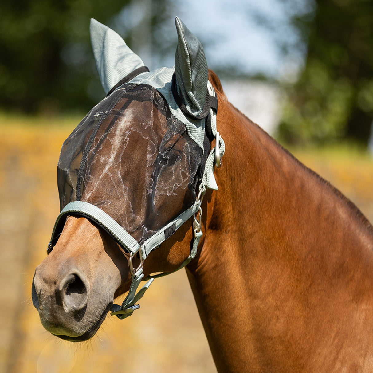 BR Fly Mask Halter