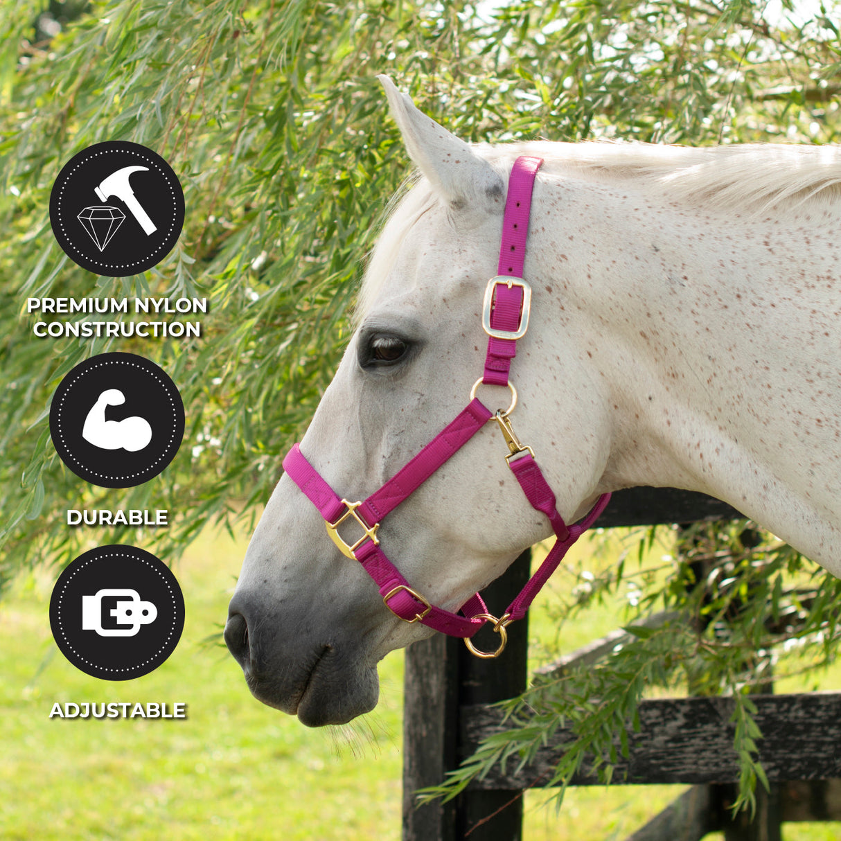 Shedrow Deluxe Halter