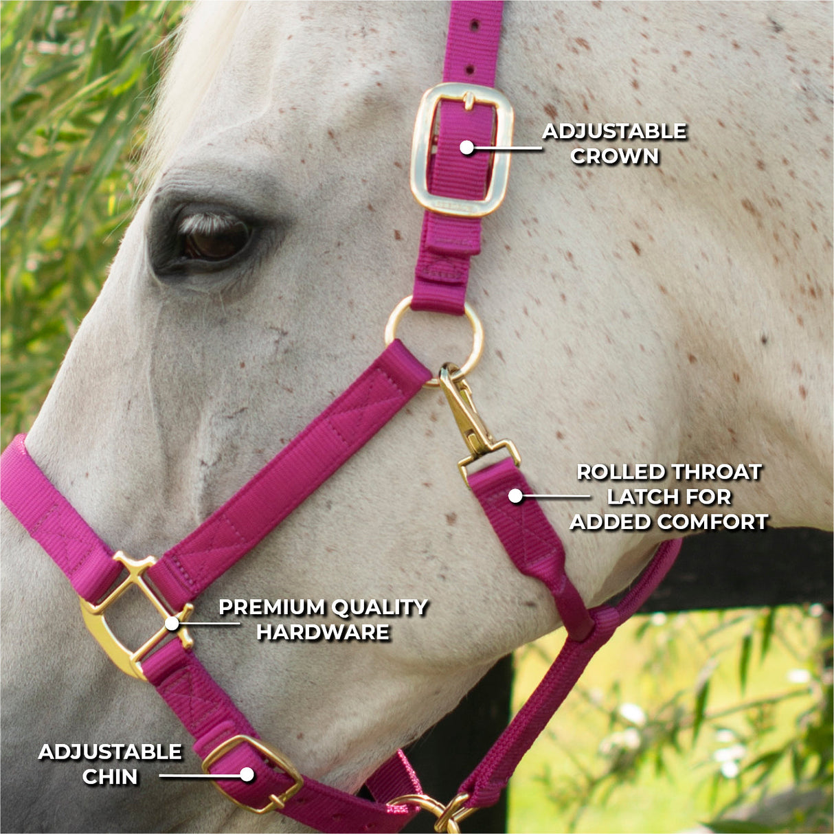 Shedrow Deluxe Halter