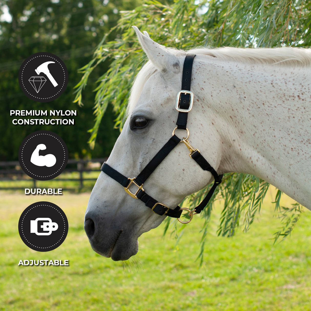 Shedrow Deluxe Halter