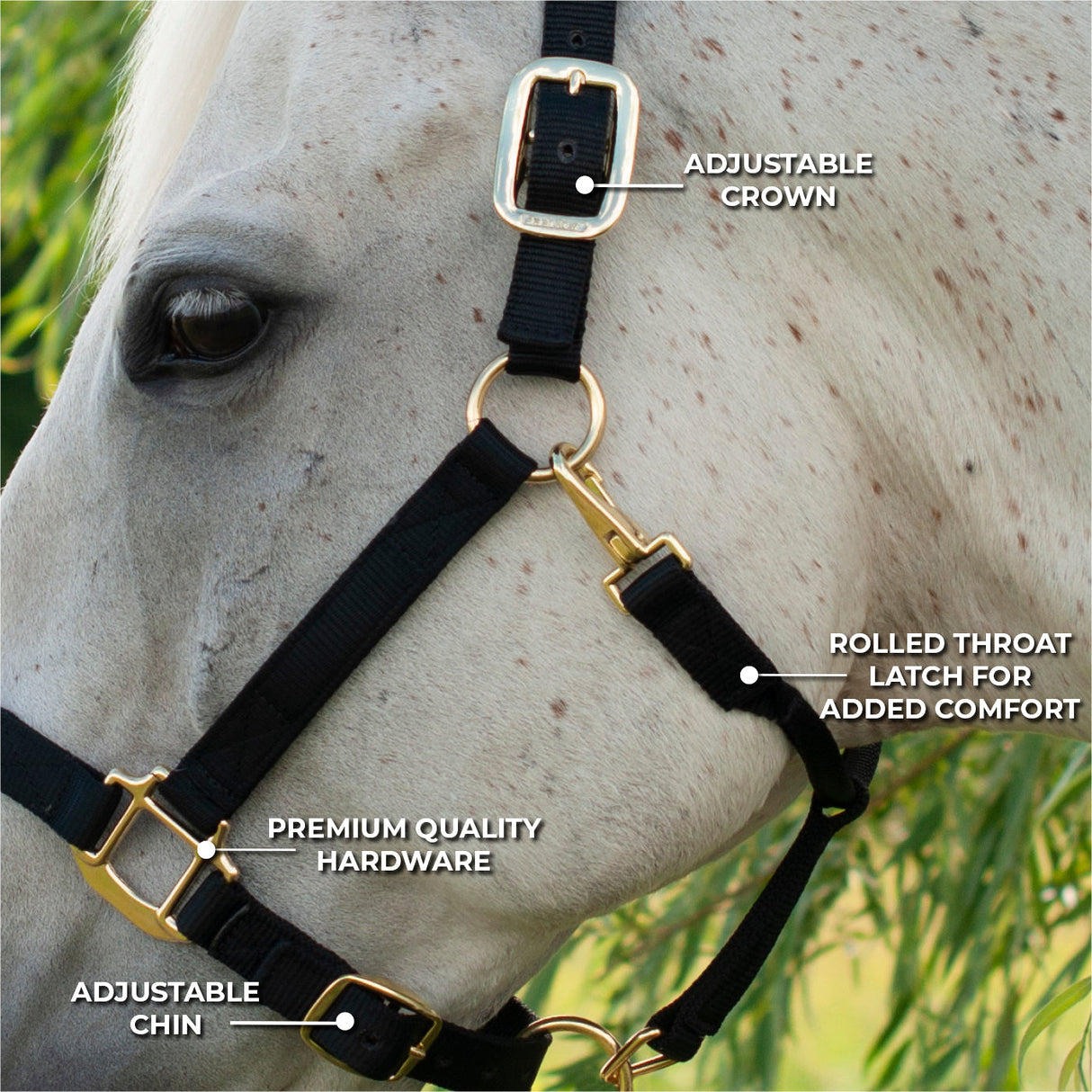 Shedrow Deluxe Halter