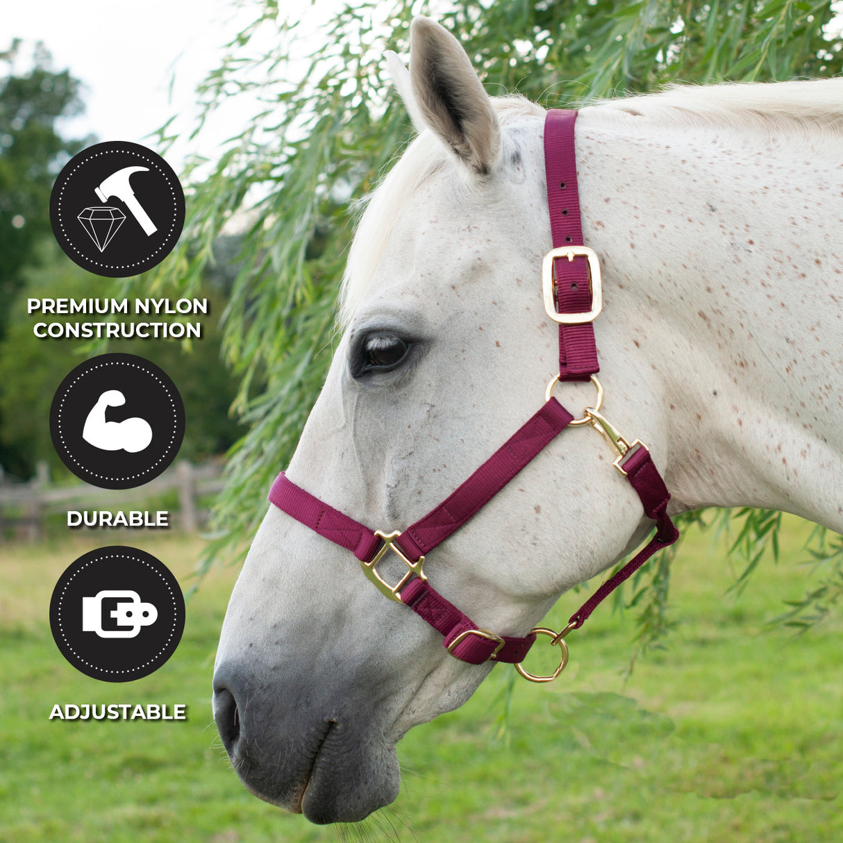 Shedrow Deluxe Halter