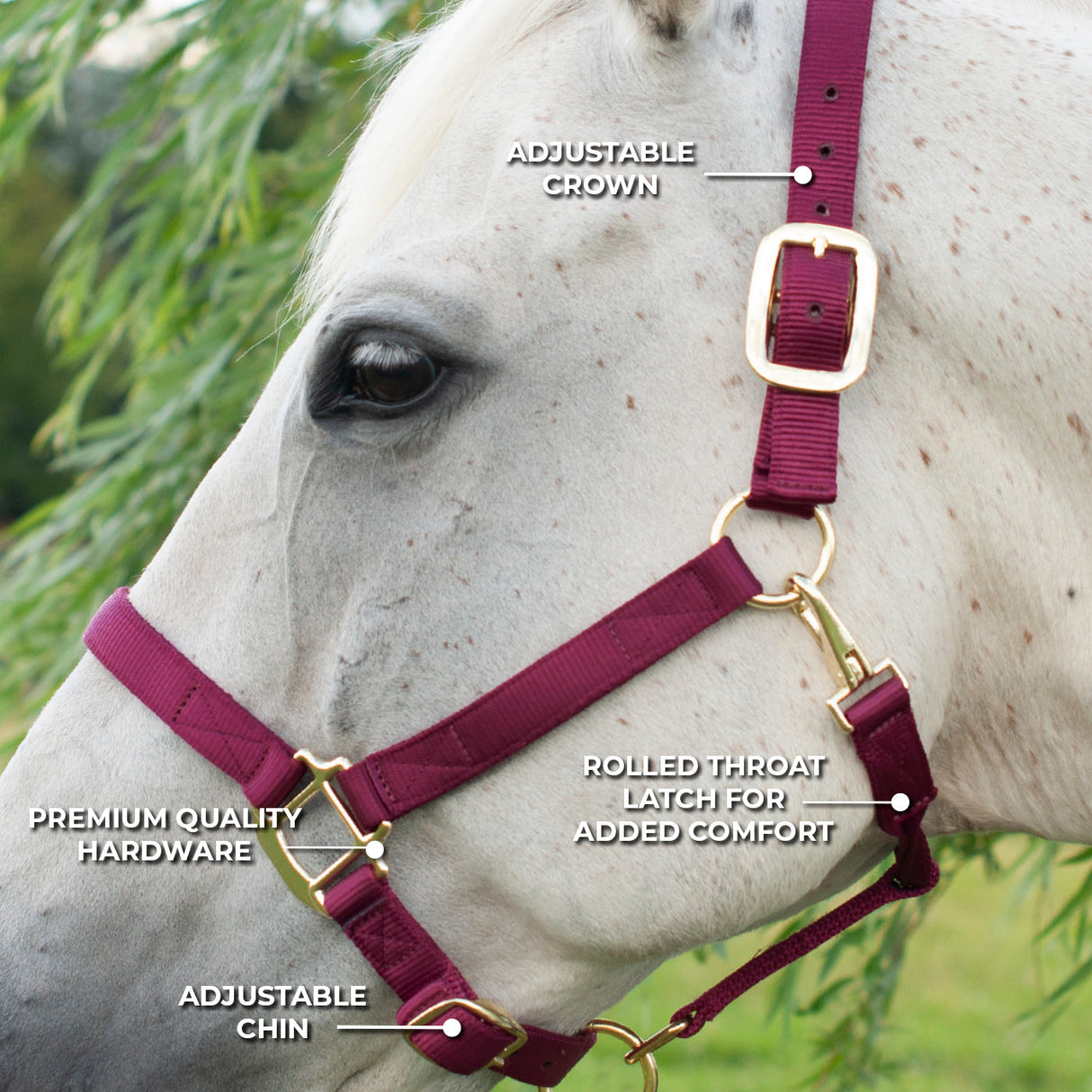 Shedrow Deluxe Halter