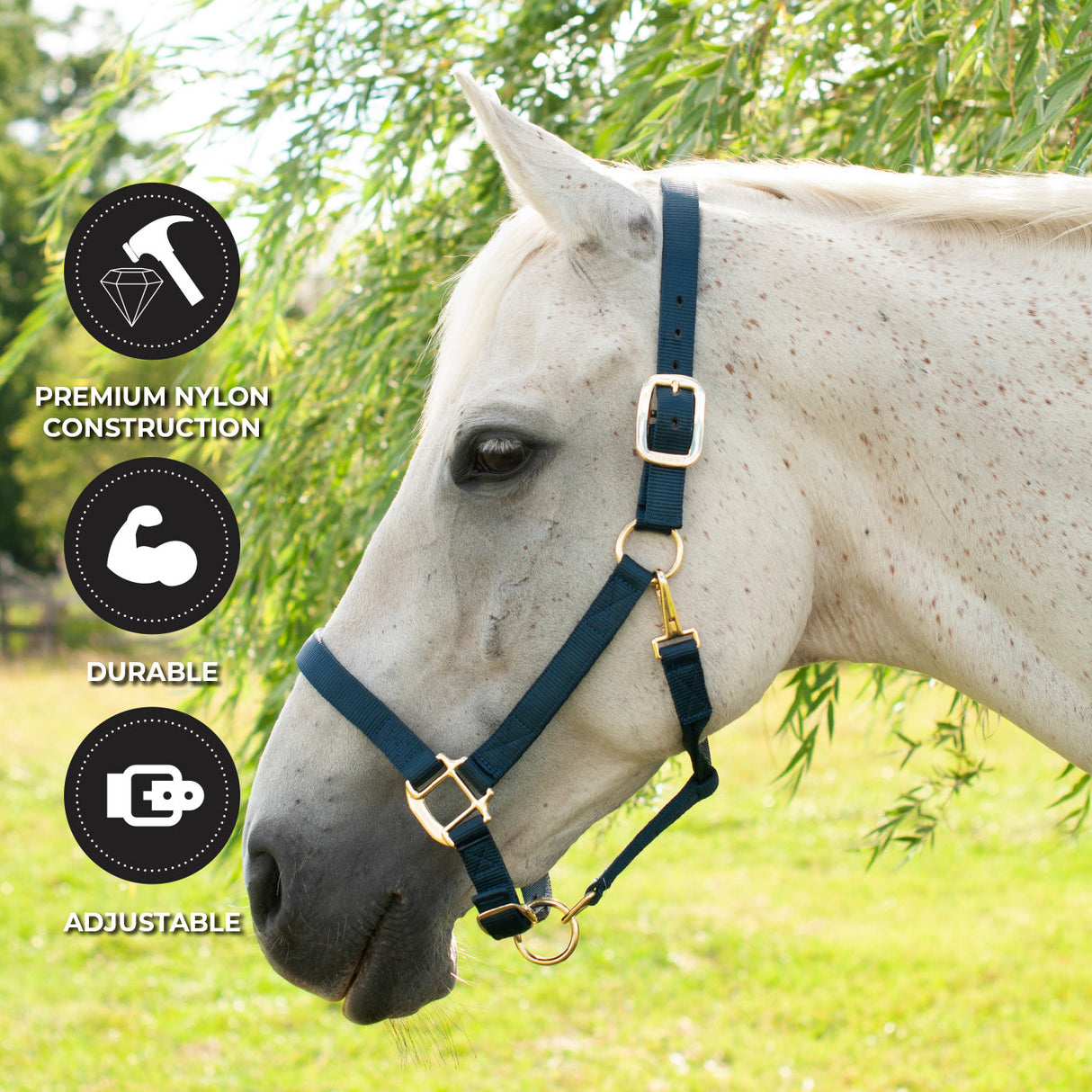 Shedrow Deluxe Halter