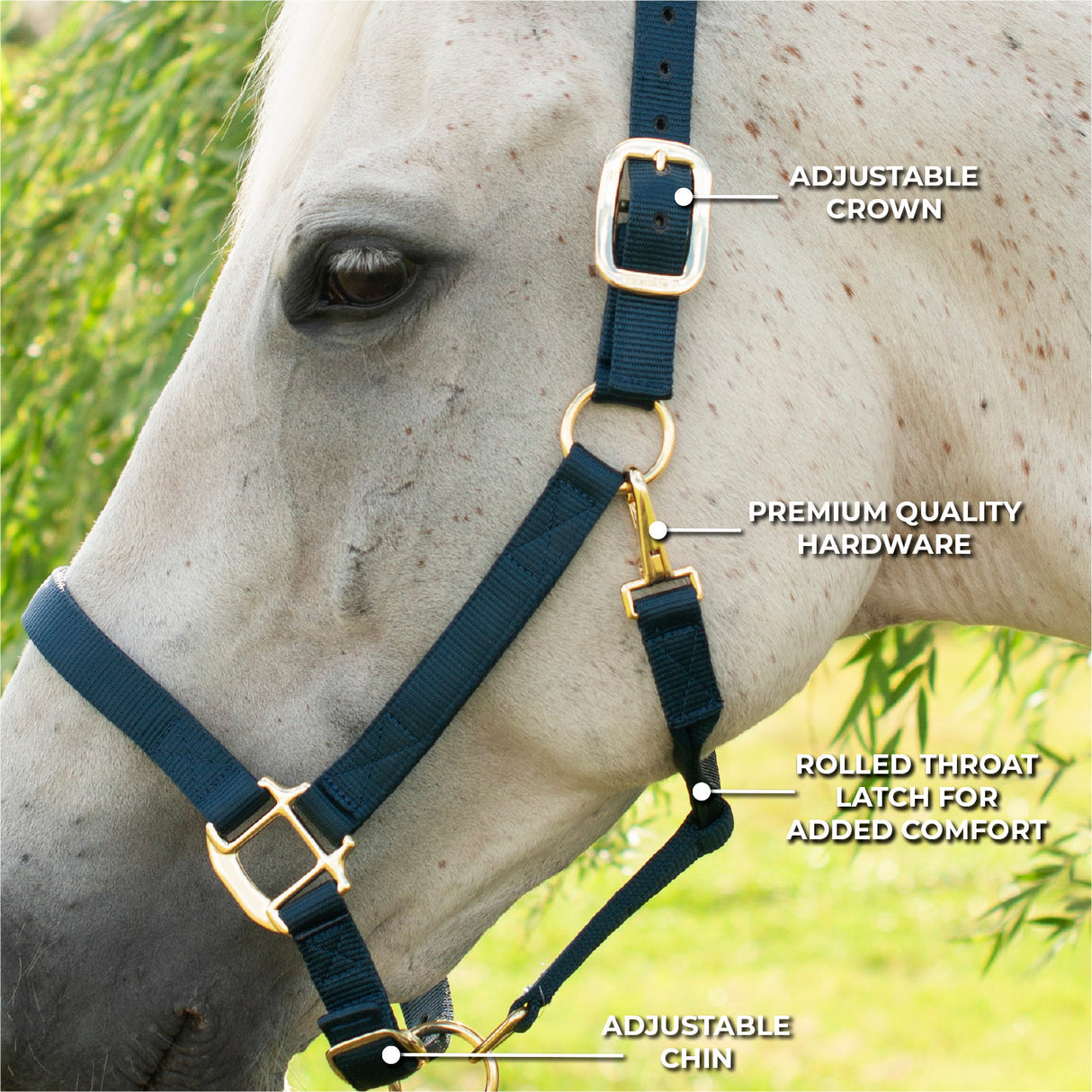 Shedrow Deluxe Halter