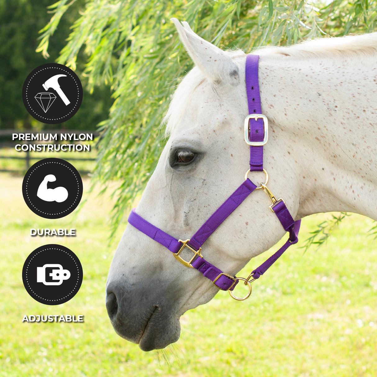 Shedrow Deluxe Halter