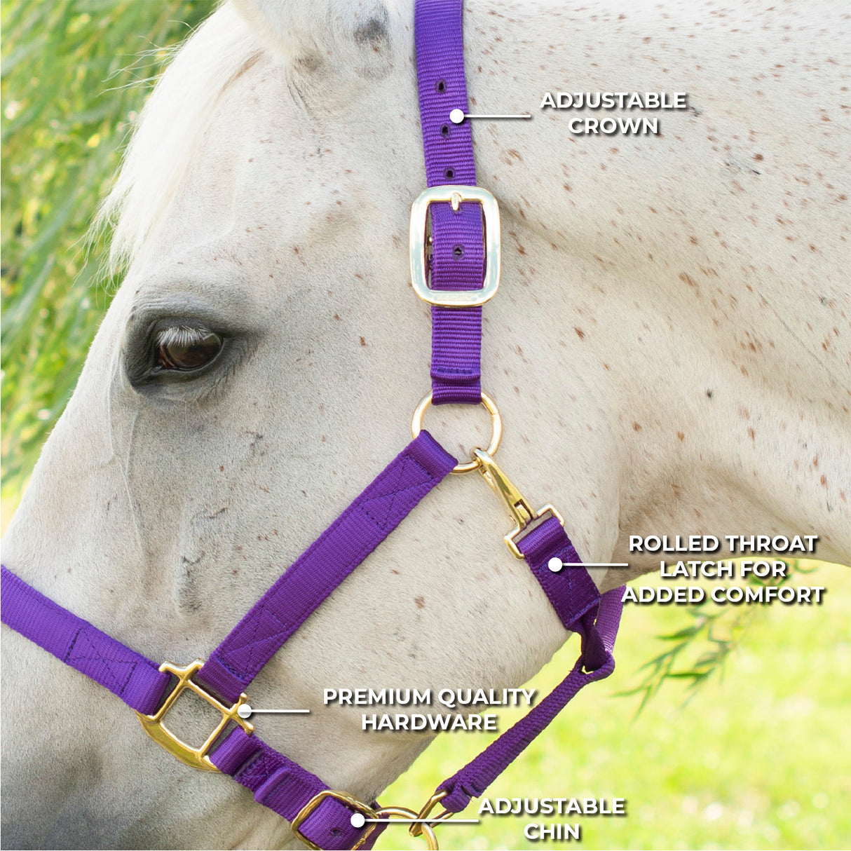 Shedrow Deluxe Halter