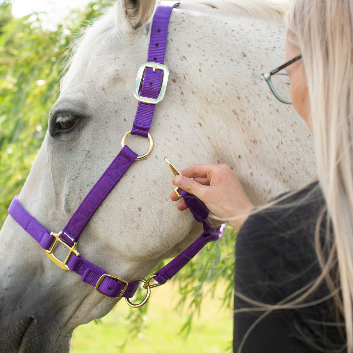 Shedrow Deluxe Halter