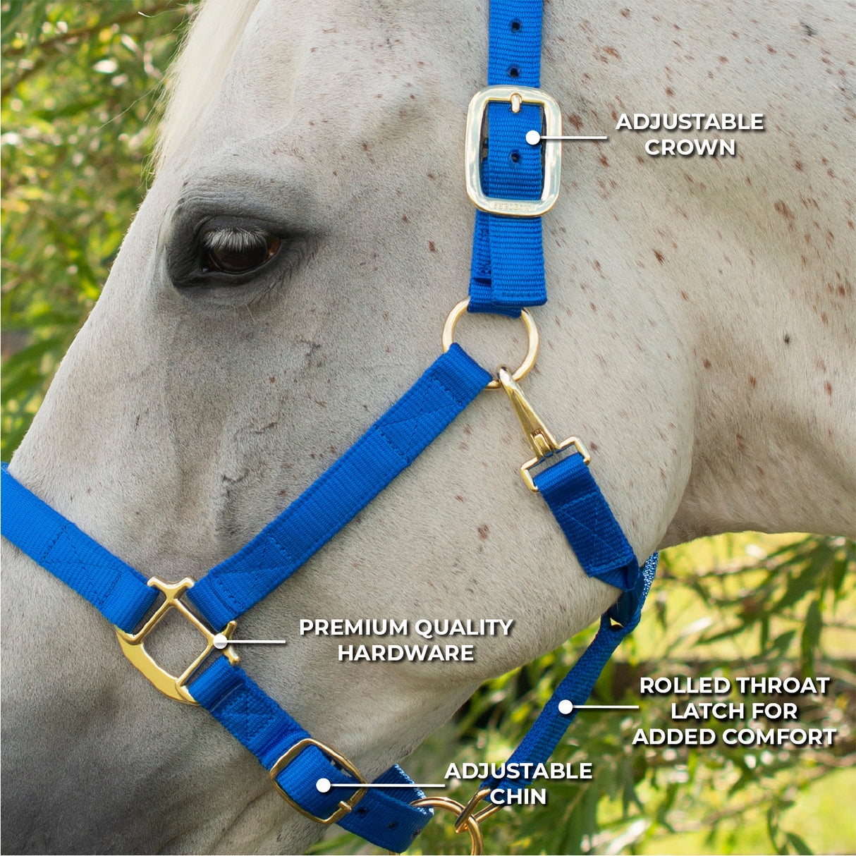 Shedrow Deluxe Halter