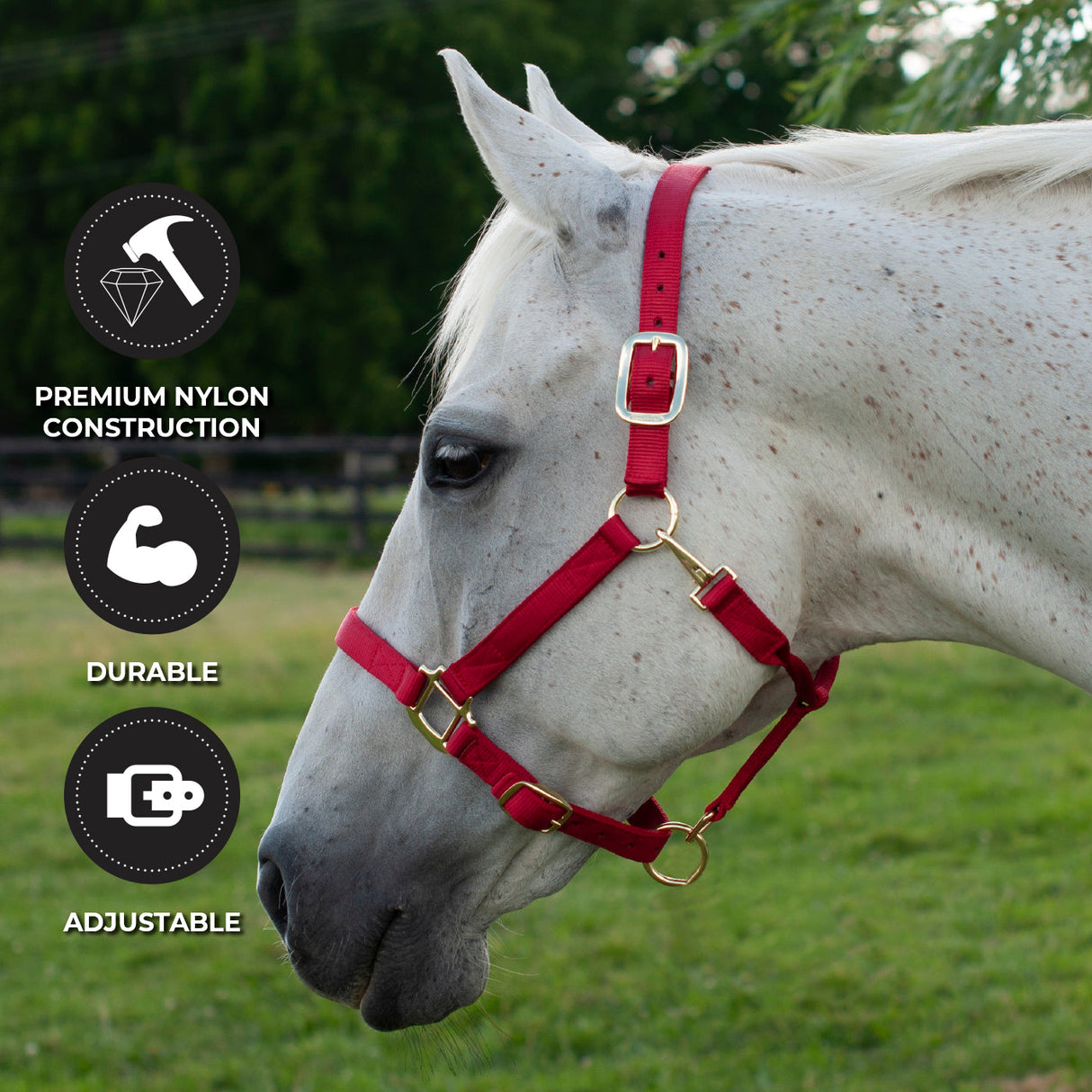 Shedrow Deluxe Halter