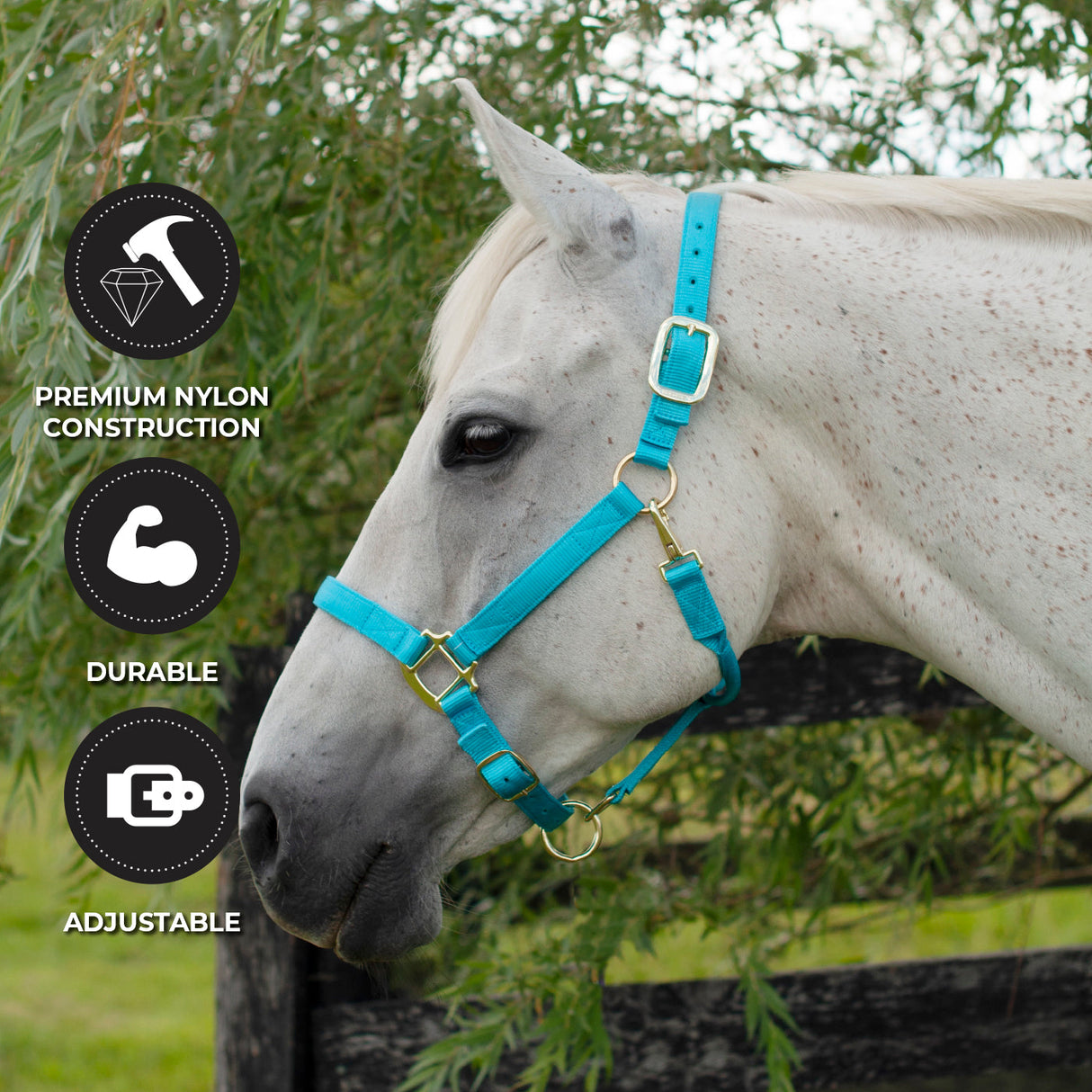 Shedrow Deluxe Halter