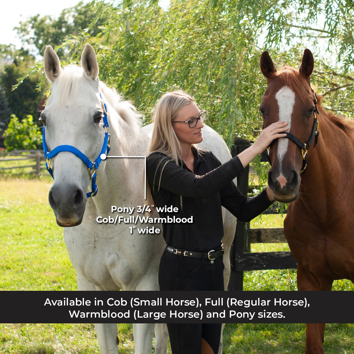 Shedrow Deluxe Halter