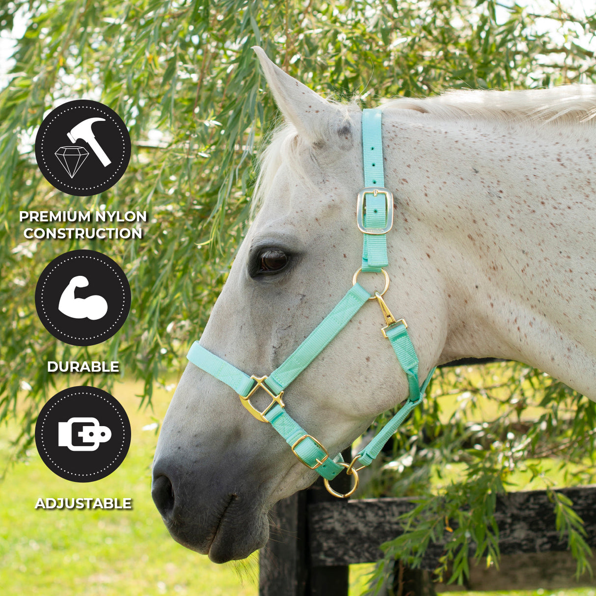 Shedrow Deluxe Halter