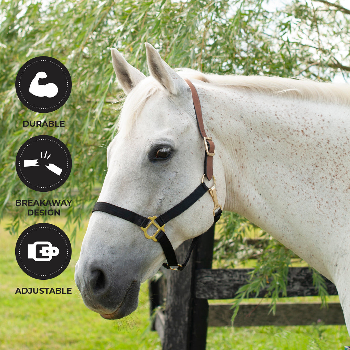 Supra Nylon Halter W/ Leather Crown