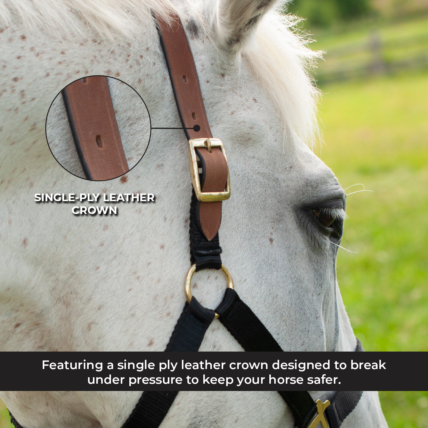 Supra Nylon Halter W/ Leather Crown